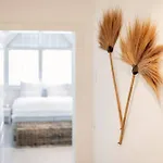 Apartman Aloha Zingst